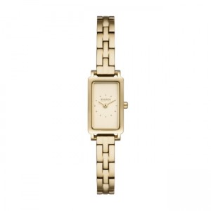 Skagen SKW3154
